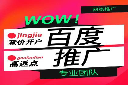百度竞价代理的客户案例：如何实现ROI最大化